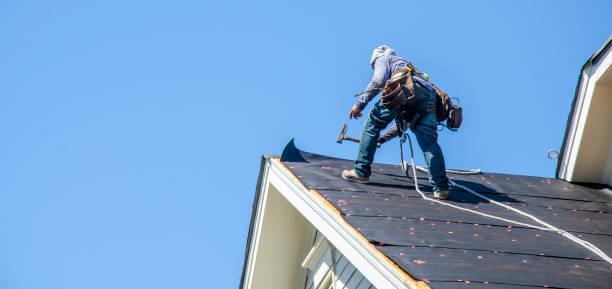 Best Roof Gutter Cleaning  in Kentwood, LA